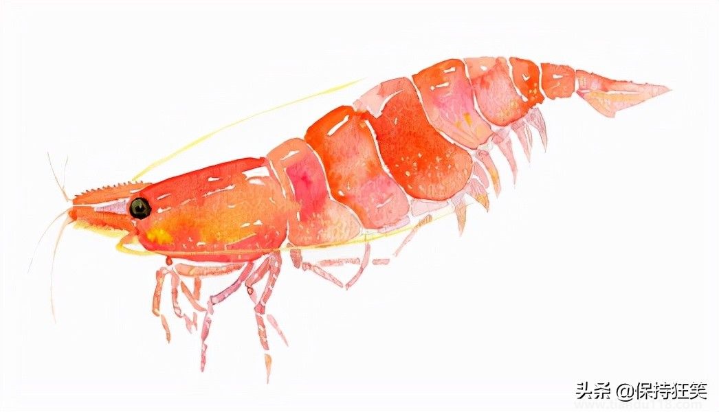 臺(tái)灣有哪些特產(chǎn)(臺(tái)灣特產(chǎn)排行榜前十名)(圖11) 臺(tái)灣十大特產(chǎn)排行榜 臺(tái)灣特產(chǎn)什么最出名 來(lái)臺(tái)旅游值得帶的伴手禮