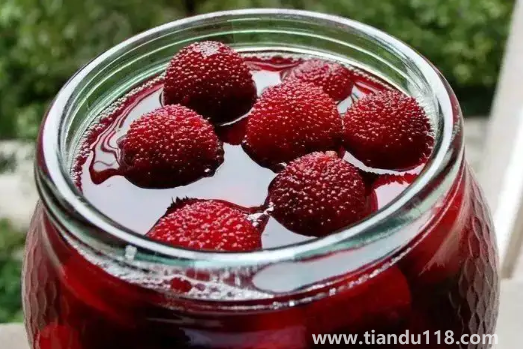 楊梅泡酒用幾成熟的楊梅2