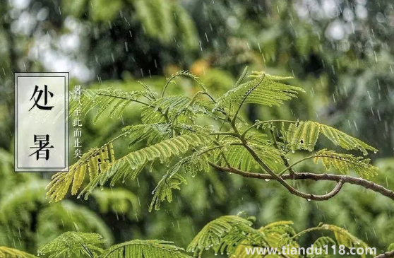 2022年處暑是農(nóng)歷哪一天星期幾1