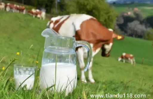 牛初乳的功效與作用及副作用3