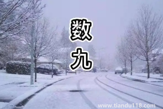 2022年一九是哪天幾月幾號星期幾1