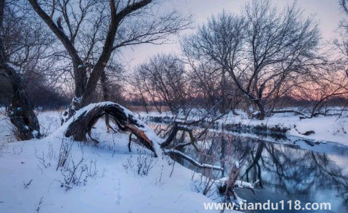 2022年一九是哪天幾月幾號星期幾3