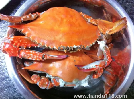 凍梭子蟹是不是要化凍了才能炒3