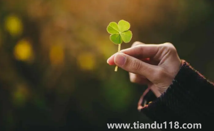 2023年兔年旺月是幾月(兔年2023年的運(yùn)勢怎么樣)(圖2) 2023年兔年旺月是幾月2