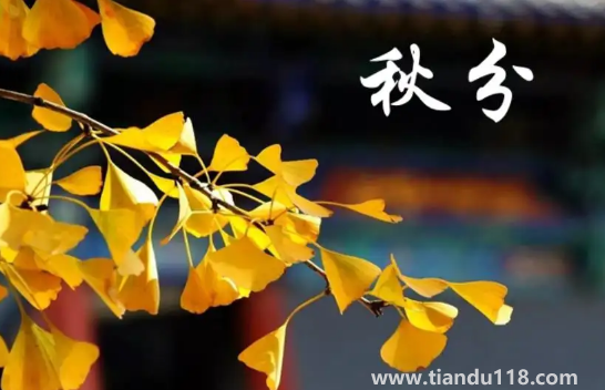 2022年秋分是農(nóng)歷幾月幾號幾點幾分幾秒2