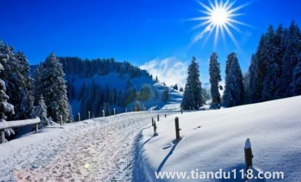 2023年冬季預測冷還是暖1