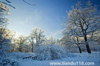 2023年冬季預測冷還是暖3