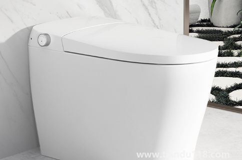 馬桶位置只有60厘米寬夠用嗎3