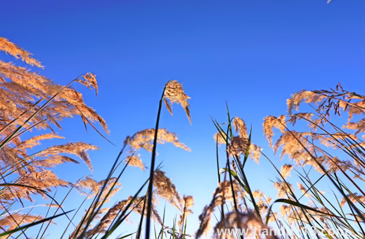2022國慶節(jié)會有冷空氣嗎1