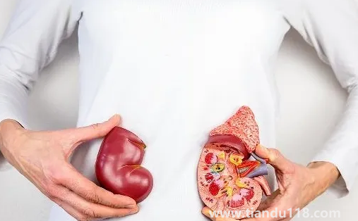 止痛藥吃多了會(huì)導(dǎo)致腎衰竭嗎1