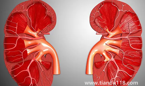 止痛藥吃多了會(huì)導(dǎo)致腎衰竭嗎2