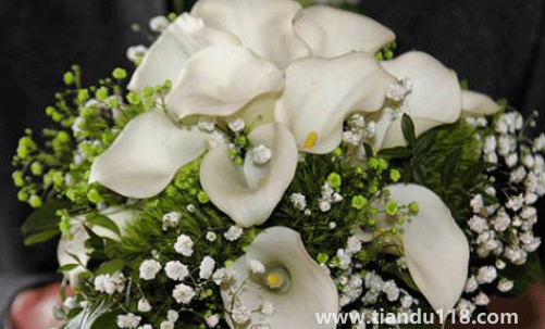 男方娶親當(dāng)天手捧花必須要準(zhǔn)備嗎3