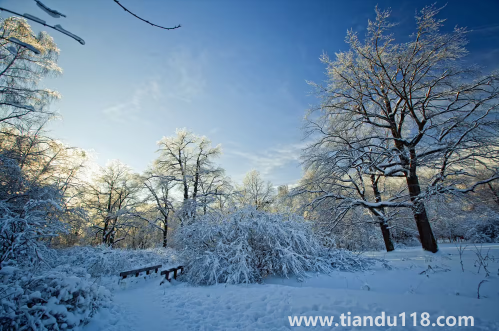 今年冬天會(huì)不會(huì)很冷2022-2023(冬天天氣冷吃什么好)(圖1) 今年冬天會(huì)不會(huì)很冷2022-20231