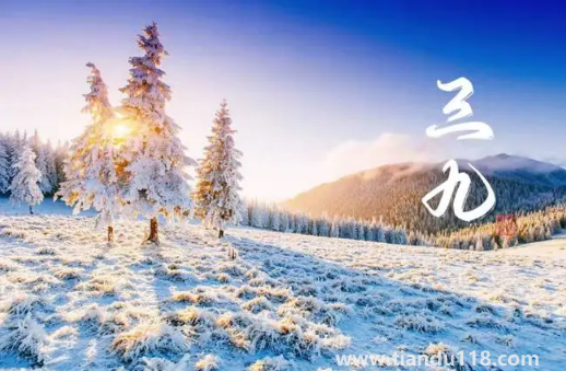 2023年三九天的起止時(shí)間（三九天要吃什么）