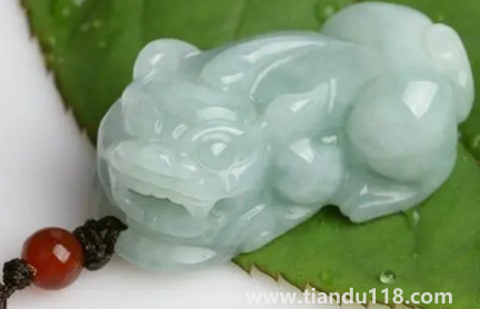 貔貅每個(gè)人都能佩戴嗎（貔貅最忌諱什么生肖）