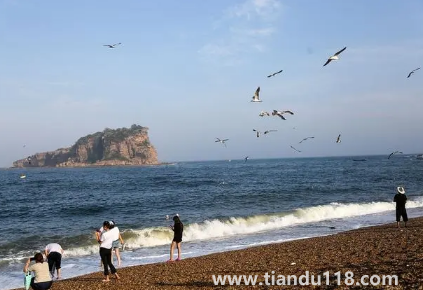 2022年大連國(guó)慶期間會(huì)人山人海嗎1