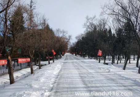 2023年哈爾濱1月份會下雪嗎3