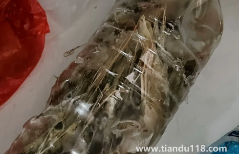 活蝦可以放礦泉水瓶保存嗎2