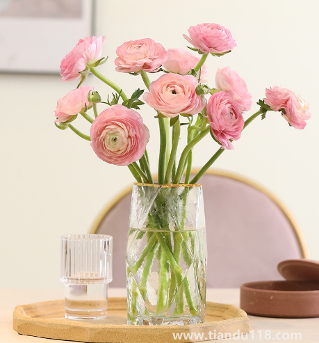 網(wǎng)購鮮花如果不醒花能放多久(醒花后花可以活多久)(圖1) 網(wǎng)購鮮花如果不醒花能放多久1