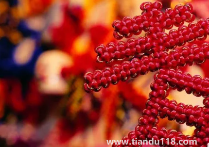 門對(duì)門掛中國結(jié)可以掛門上嗎 2