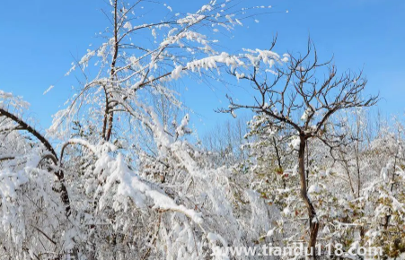 今年元旦北京會下雪嗎20233