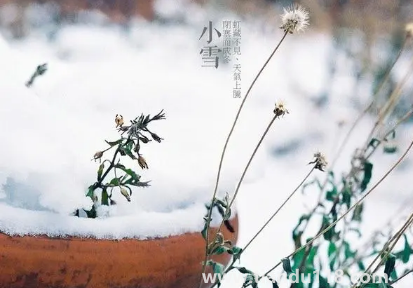 小雪節(jié)氣溫度高會(huì)怎樣2