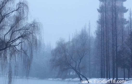 2022小雪節(jié)氣時(shí)成都下雪了嗎（小雪節(jié)氣成都天氣怎么樣）