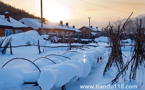 2022小雪過(guò)后就開(kāi)始數(shù)九了嗎1