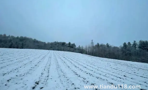 2022小雪過(guò)后就開(kāi)始數(shù)九了嗎2
