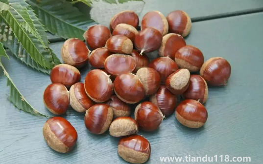 炒熟的板栗怎么保存不會壞還新鮮(炒板栗需要開口嗎)(圖3) 炒熟的板栗怎么保存不會壞還新鮮3
