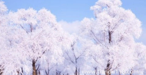 今年三九是最冷的時(shí)候嗎20233