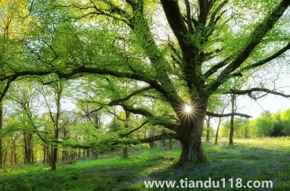 2023年3月份天氣會不會冷（2023年3月份天氣怎么樣）