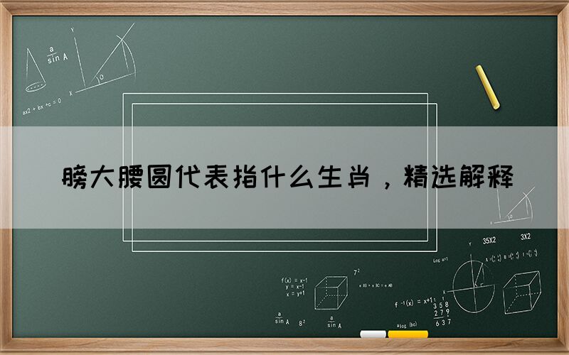 膀大腰圓代表指什么生肖，精選解釋