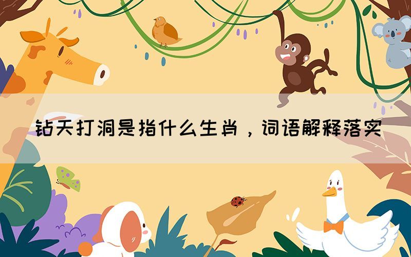 鉆天打洞是指什么生肖，詞語解釋落實