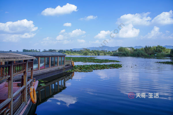 普者黑荷花是什么季節(jié)開的