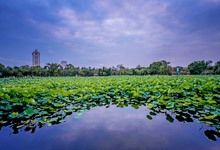 昆明市區(qū)有什么好玩的 昆明市內經典一日游